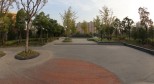 IMG_0705